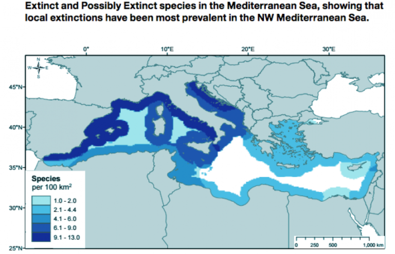 Большинство этих локальных вымираний произошло в северо-западных водах Средиземного моря Испании, Франции и Италии, а также в водах стран, граничащих с Адриатическим морем и северо-западными африканскими странами
